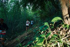 BIB: 
                            <button type="button" onclick="openModal(28123889)" class="btn btn-primary btn-sm float-right btn-popup" data-toggle="modal" data-target=".modal-high-quality">
                        <i class="fas fa-shopping-cart"></i> Add to Cart
                    </button>
                                            <button type="button" onclick="isThisMe(28123889, true)" class="btn btn-success btn-sm float-right btn-popup btn-isme hidden" data-toggle="tooltip" data-placement="bottom" title="นี่คือรูปของคุณใช่ไหม คลิกที่นี่เพื่อเอาเข้าอัลบั้ม">
                        <i class="fas fa-plus"></i> Add to album
                    </button>
                    <button type="button" onclick="isThisMe(28123889, false)" class="btn btn-warning btn-sm float-right btn-popup btn-isnotme hidden">
                        <i class="fas fa-ban"></i> Remove from album
                    </button>